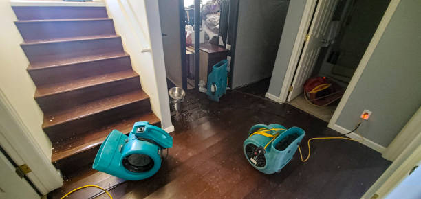 Best Water damage cleanup near me  in Belton, MO