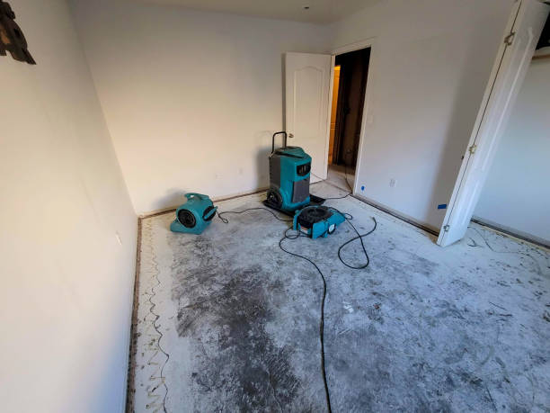 Best Flooded house restoration  in Belton, MO