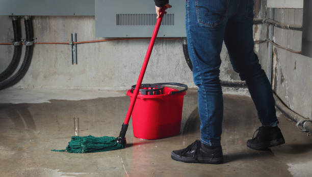 Best 24-hour water damage restoration  in Belton, MO