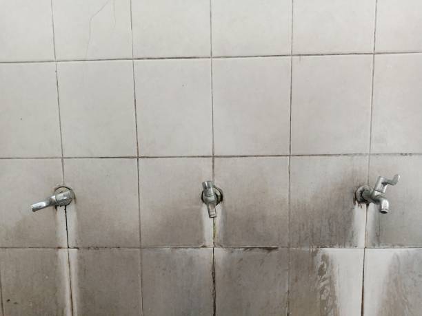Best Flood restoration services  in Belton, MO