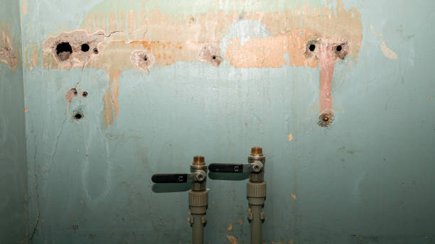  Belton, MO Water damage restoration Pros