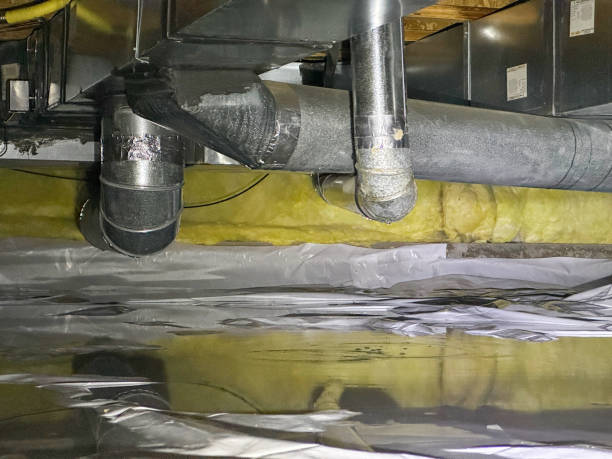 Best Water damage restoration services  in Belton, MO
