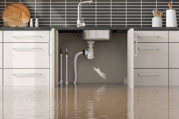 Best Carpet water damage restoration  in Belton, MO